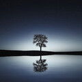 Relaxing Spa Music、Calming Music Academy、Musica Para Estudiar Academy - Oblivious