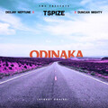 Duncan Mighty、Tspize、Deejay Neptune - Odinaka