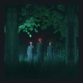 Lucid - Followers