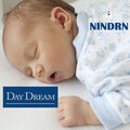NInDRn - Day Dream