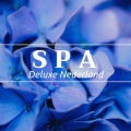 Spa Deluxe Nederland: Kom uit de dagelijkse routine en neem een moment voor jezelf