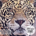 Sharapov - Story