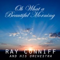 Ray Conniff and His Orchestra - Some Enchanted Evening