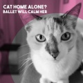 Cat Home Alone?  Ballet Will Calm Her