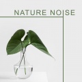 Instrumental Nature Sounds