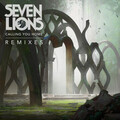 Seven Lions、RUNN - Calling You Home