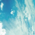 Joao Ceser、IISO - Seas