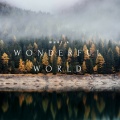What a Wonderful World