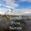 Relaxing Music Therapy、Rain Sound Studio、Loopable Sounds for Babies - Morning Wildlife