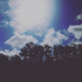 Cloudy - Alive Again