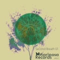 Pompeiy - Break The Traffic