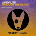 Vandalize - Through The Glass (Original Mix)