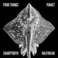 Sharptooth - Queen of Scots