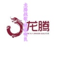 精彩啊良 - 龙腾战歌