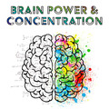 Brain Power & Concentration – Best Classical Music for Study, Stress Relief, Focus, Better Memory, Bach, Mozart