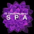 25 Canciones para el Spa: Música para la sauna, terapia de masaje, terapia de relajación, meditación y yoga
