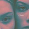 Giant Rooks - Wild Stare