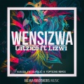 Lizwi、Catzico - Wensizwa (Soulholic & 7Options & Kususa Remix)