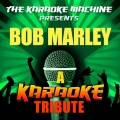The Karaoke Machine - Is This Love (Bob Marley Karaoke Tribute)