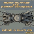 damir pushkar、Fabian Jakopetz - Solarized Planet