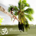 Paul Wilkie - Carribean Dreams