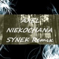 Niekochana (Remix)