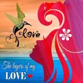 Giacomo Bondi、Lo Light - Layers of My Love