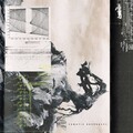 Somatic Responses - Signs of Weakness