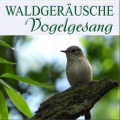 Waldgeräusche - Entferntes Mövenschreien an einer Küste
