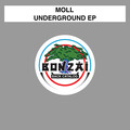 Moll - Earthquake
