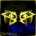 The Sektorz - Miss You