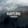 Bat-eleven - Nature