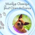 Musique Douce Academy - Dance Scene
