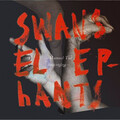 Swans Reflecting Elephants