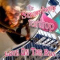 Steve Lucas、The Strawberry Teardrop - Corporate Girl