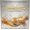 Berliner Symphoniker、Eduardo Marturet - XIII. Danses des cygnes