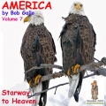 America, Vol 7. Starway to Heaven