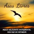 Asas Livres