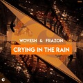Wovesh、Frazon - Crying in the Rain