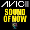 Sound Of Now (Original Mix)