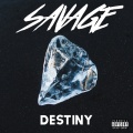 Destiny - SAVAGE (Explicit)