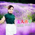 蒋婴 - 美人香草