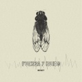 Fuerza y Ruido