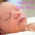 SPA、Sounds Of Nature : Thunderstorm、White Noise Meditation、Sounds Of Nature : Thunderstorm, Rain - Rain Sound: White Noise