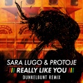 Protoje、Paul Bertin、Sara Lugo、Dunkelbunt - Really Like You (Dunkelbunt Remix)
