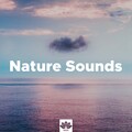 Inside Trace、Sounds Of Nature : Thunderstorm, Rain - The Sound of a Distant Sea (Asian Night Music)