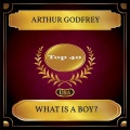 What Is A Boy?