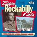 Al Ferrier、The Boppin Billies - No No Baby