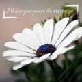 Sérénité Musique Spa、Musique Triste Piano - Musique pour la tristesse