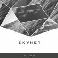 Skynet - По краю